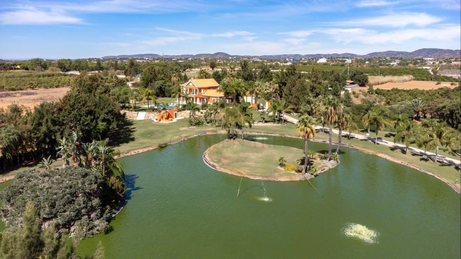 Quinta T4 para Venda em Pechão Foto 35