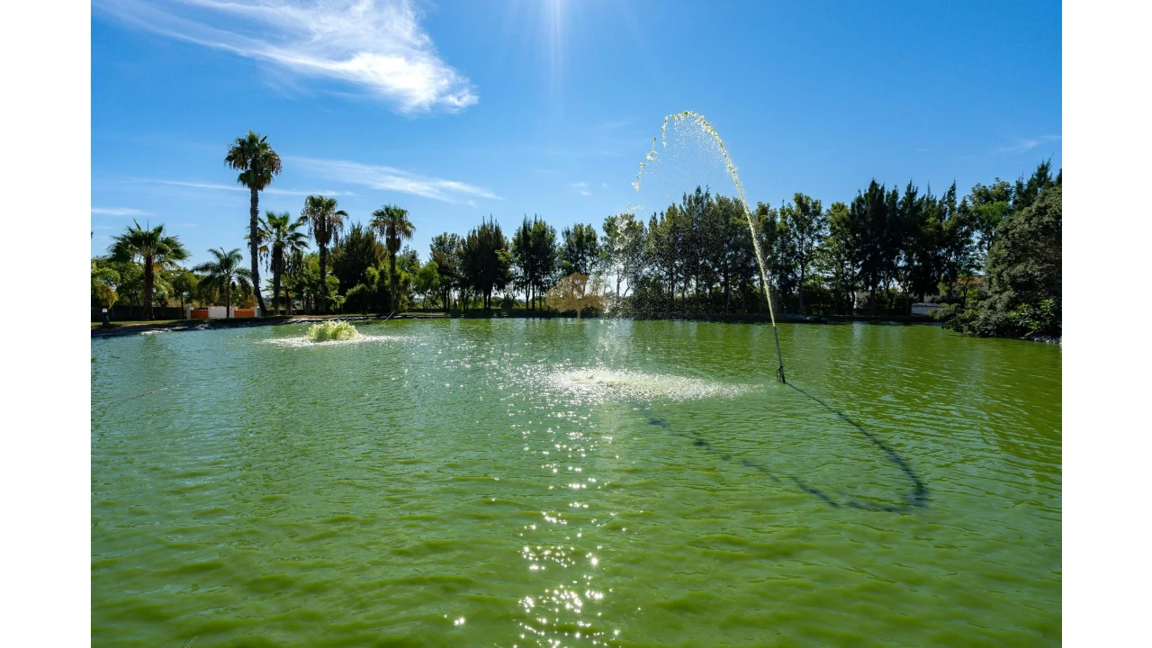 Quinta T4 para Venda em Pechão Foto 31