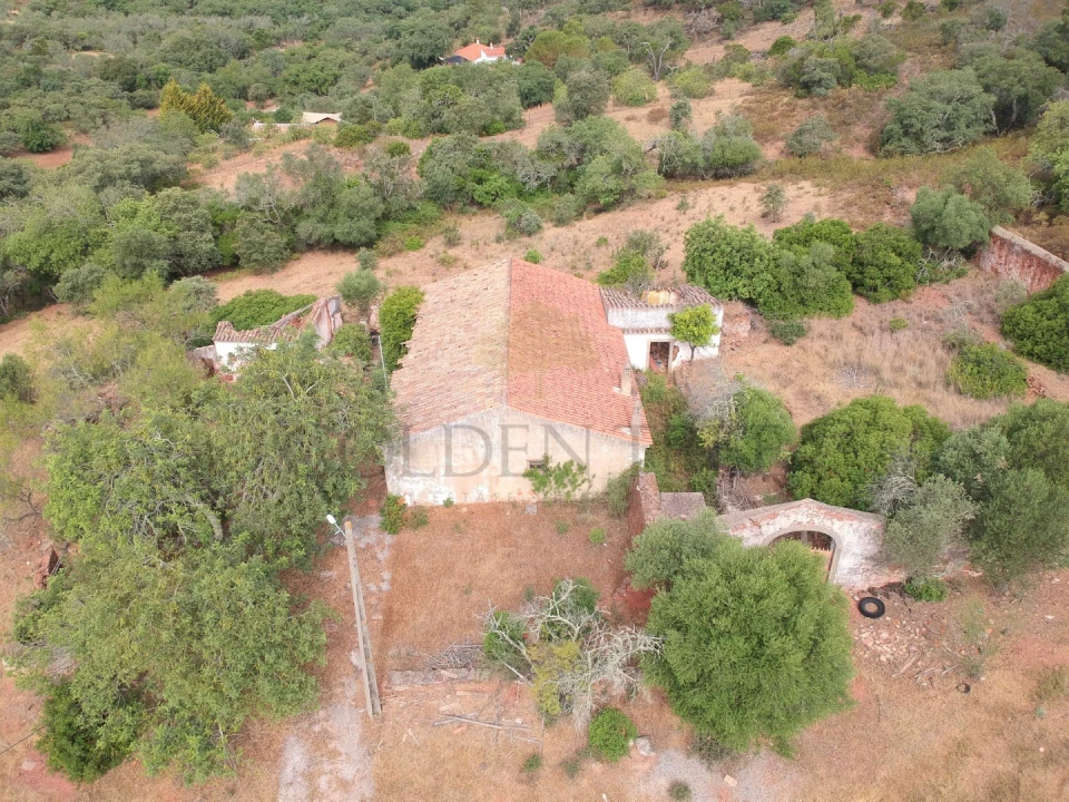 Terreno para Venda em São Brás de Alportel Foto 7