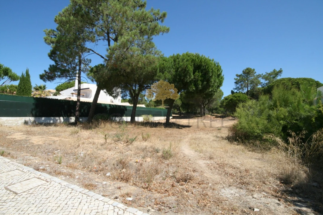 Terreno para Venda em Almancil Foto 6