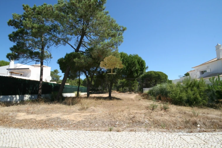 Terreno para Venda em Almancil Foto 5