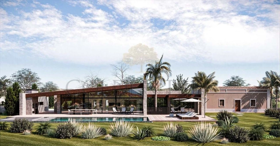 Terreno para Venda em Loule (São Sebastião) Foto 4