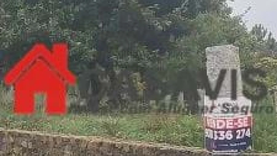 Terreno para Venda em Queiriga