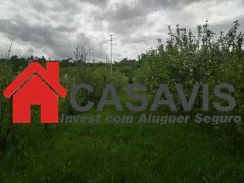 Moradia para Venda em Couto de Baixo e Couto de Cima Foto 6