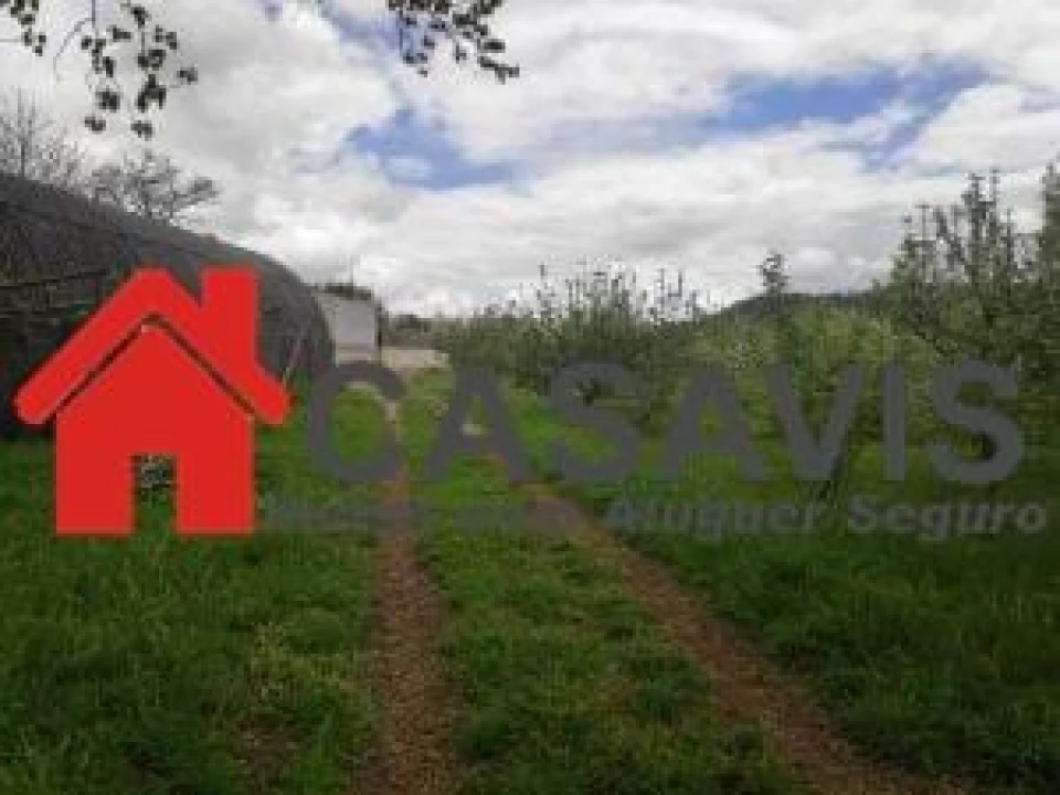 Moradia para Venda em Couto de Baixo e Couto de Cima Foto 8