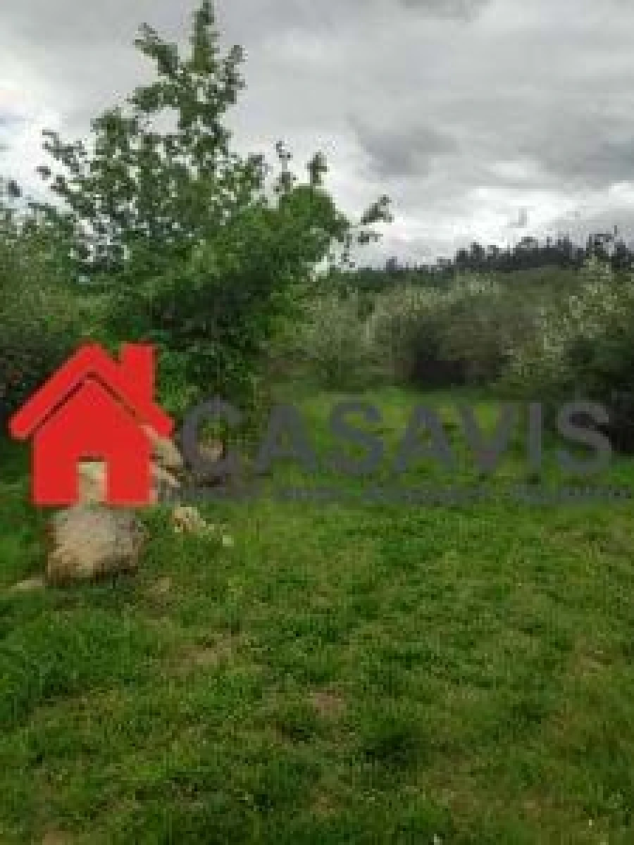 Moradia para Venda em Couto de Baixo e Couto de Cima Foto 11