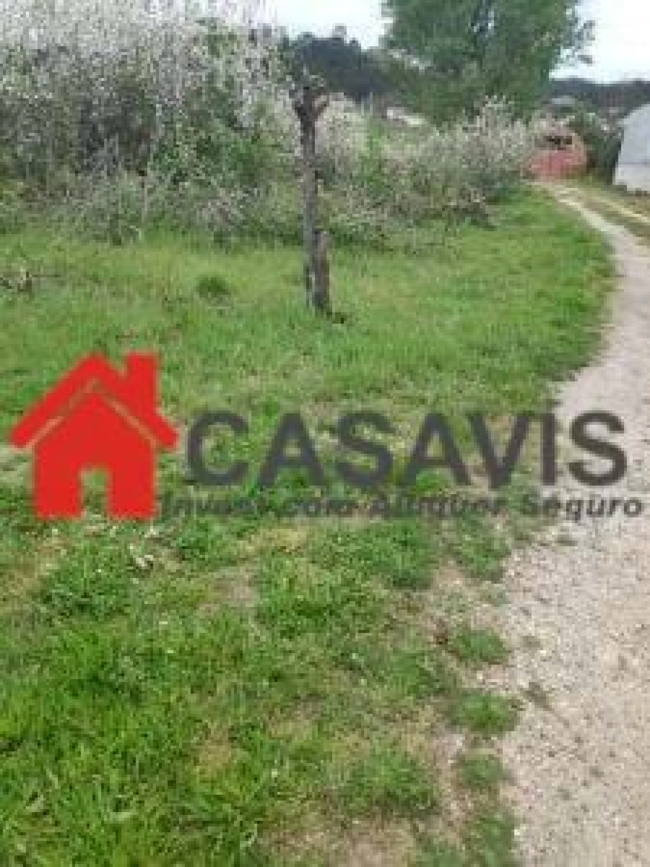 Moradia para Venda em Couto de Baixo e Couto de Cima Foto 13