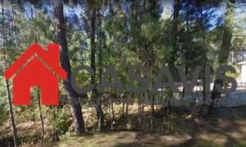 Terreno para Venda em Calde