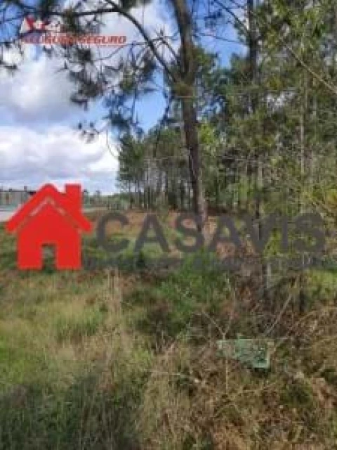 Terreno para Venda em Cavernães