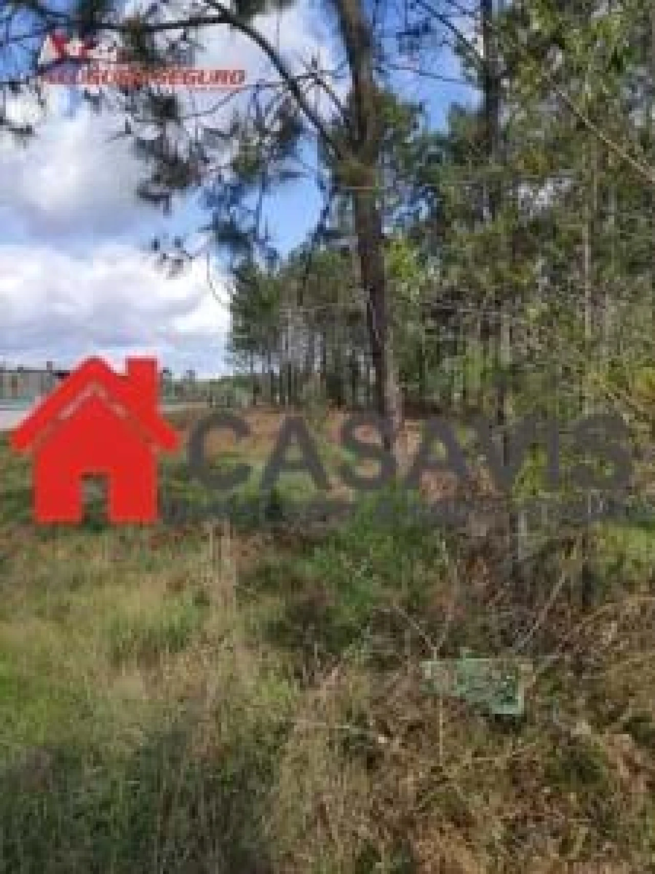 Terreno para Venda em Cavernães Foto 1