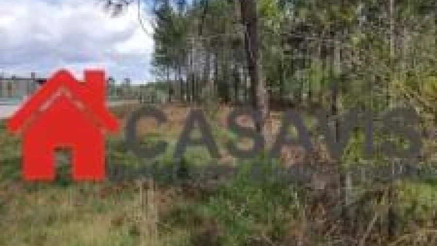 Terreno para Venda em Cavernães