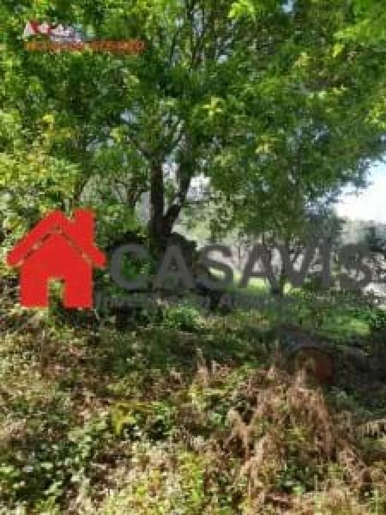 Quinta para Venda em Rio de Loba Foto 3