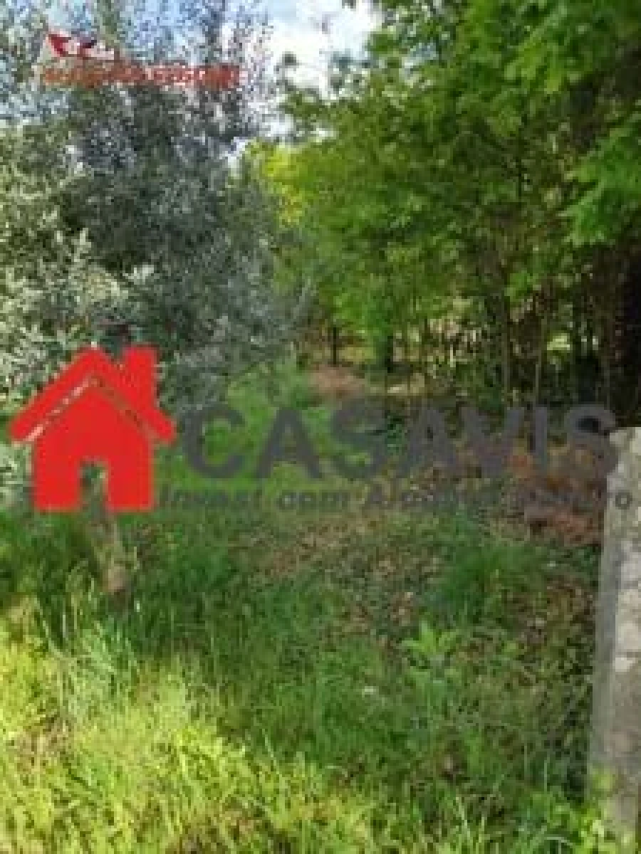 Quinta para Venda em Rio de Loba Foto 4