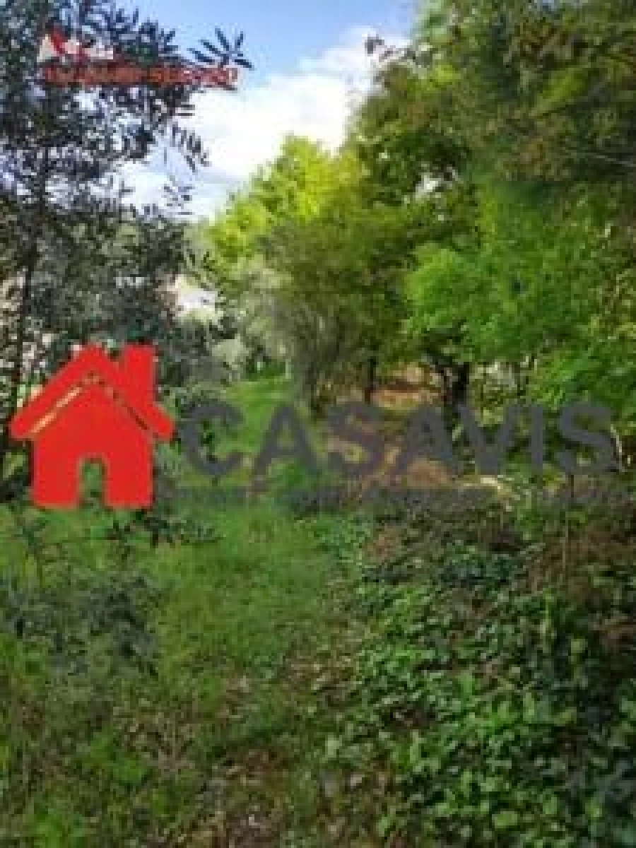 Quinta para Venda em Rio de Loba Foto 5