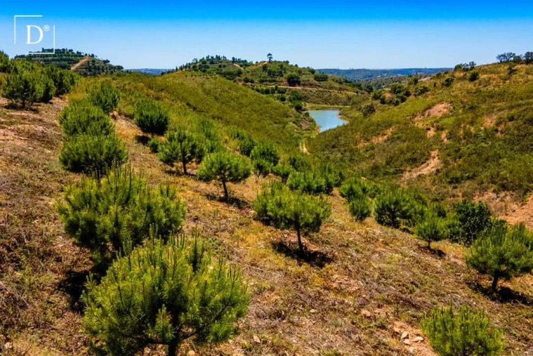 Moradia T3 para Venda em Silves Foto 12