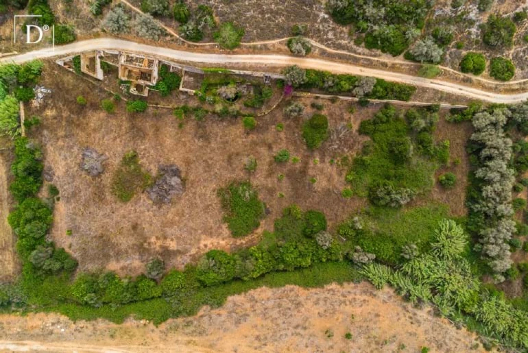 Terreno para Venda em Silves Foto 3