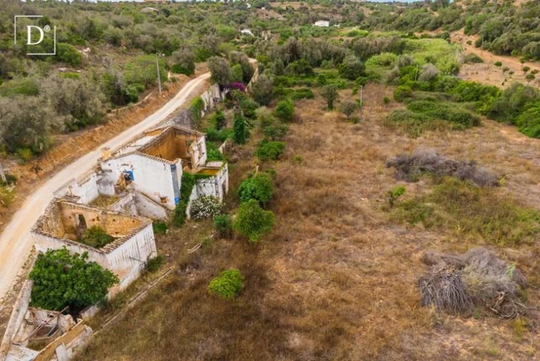 Terreno para Venda em Silves Foto 4