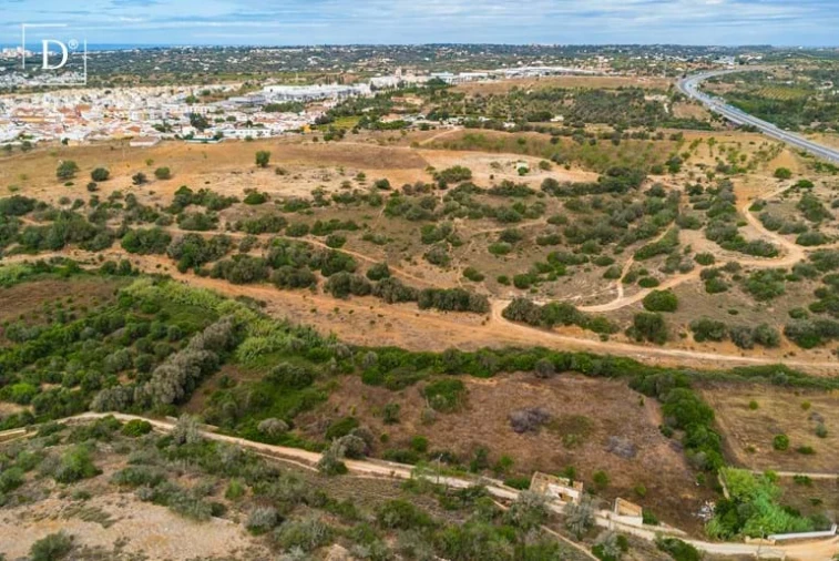 Terreno para Venda em Silves Foto 6
