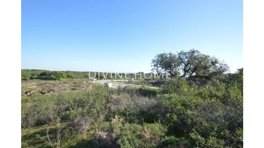 Terreno para Venda em Vila Real de Santo Antonio Foto 3