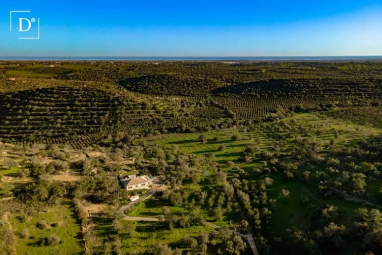 Moradia T3 para Venda em Conceição e Cabanas de Tavira Foto 31