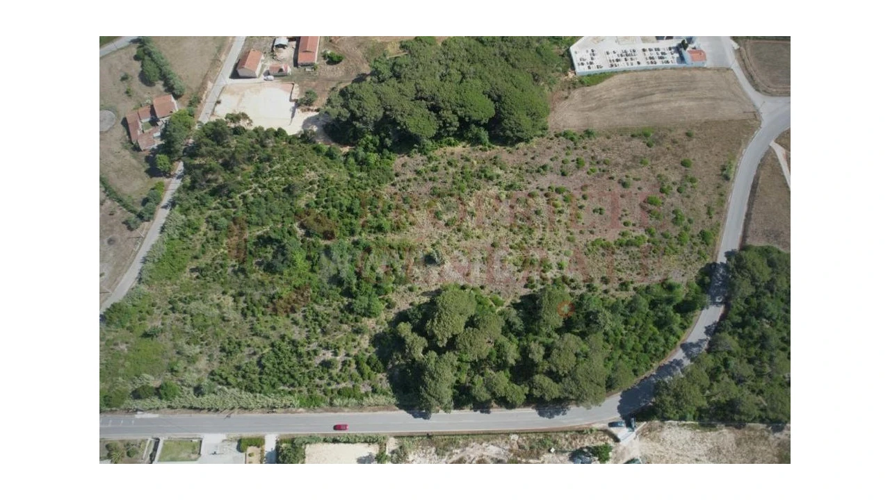 Terreno para Venda em Santa Maria, São Pedro e Sobral da Lagoa Foto 1