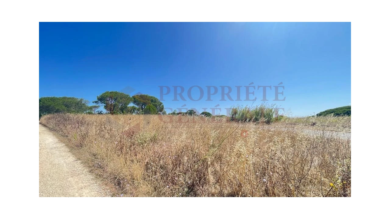 Terreno para Venda em Santa Maria, São Pedro e Sobral da Lagoa Foto 3