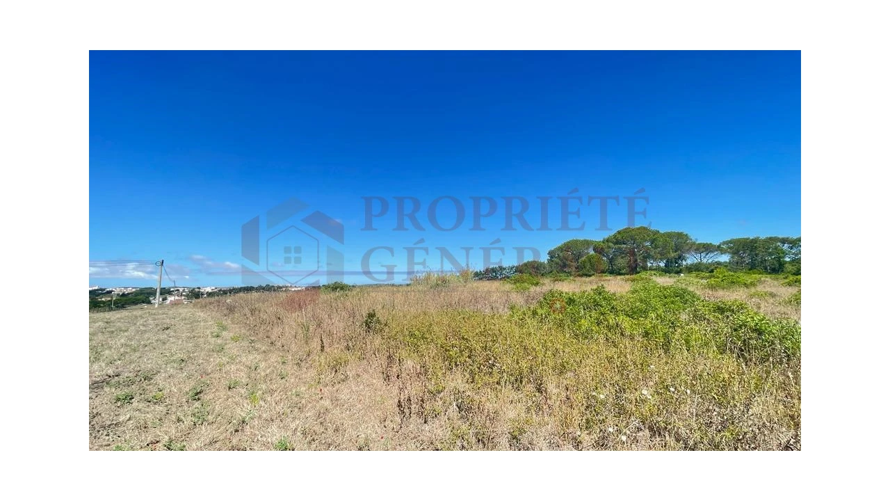 Terreno para Venda em Santa Maria, São Pedro e Sobral da Lagoa Foto 4