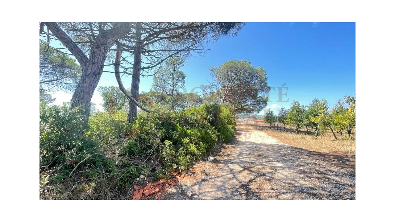 Terreno para Venda em Santa Maria, São Pedro e Sobral da Lagoa Foto 5