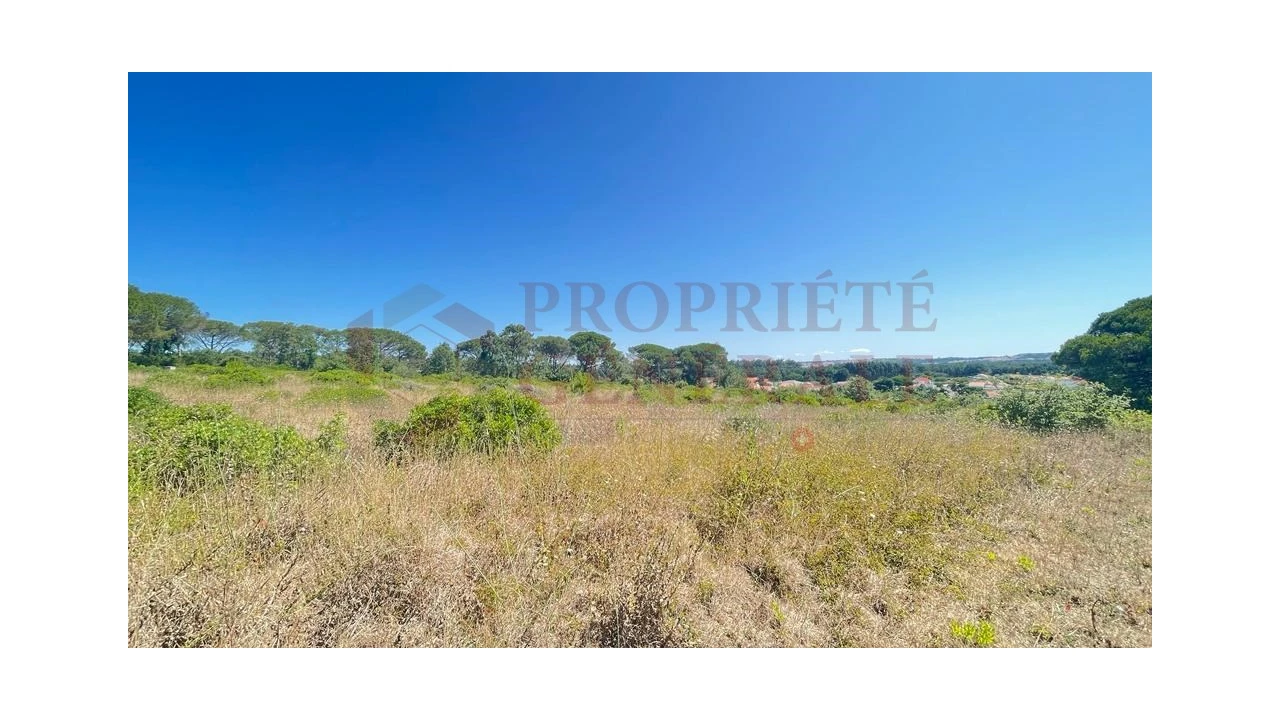 Terreno para Venda em Santa Maria, São Pedro e Sobral da Lagoa Foto 6