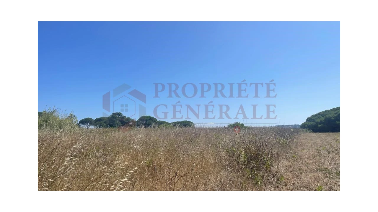 Terreno para Venda em Santa Maria, São Pedro e Sobral da Lagoa Foto 8