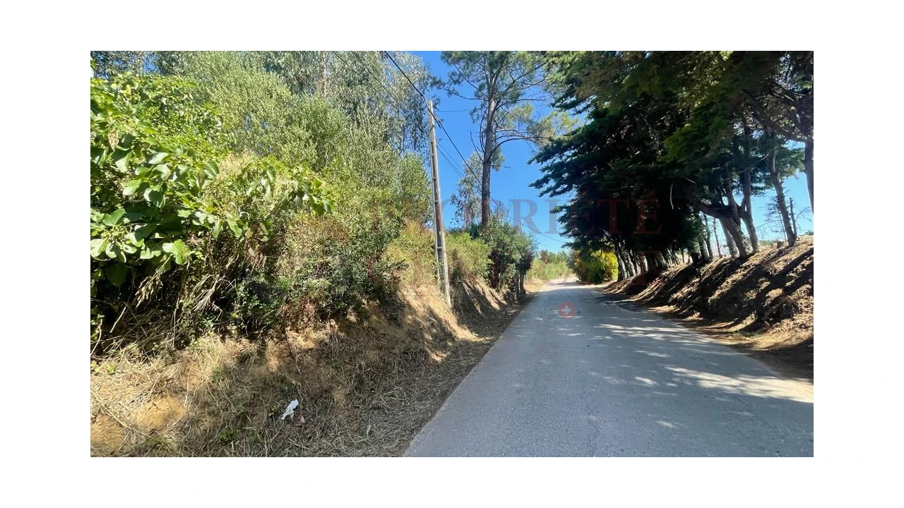 Terreno para Venda em Santa Maria, São Pedro e Sobral da Lagoa Foto 9
