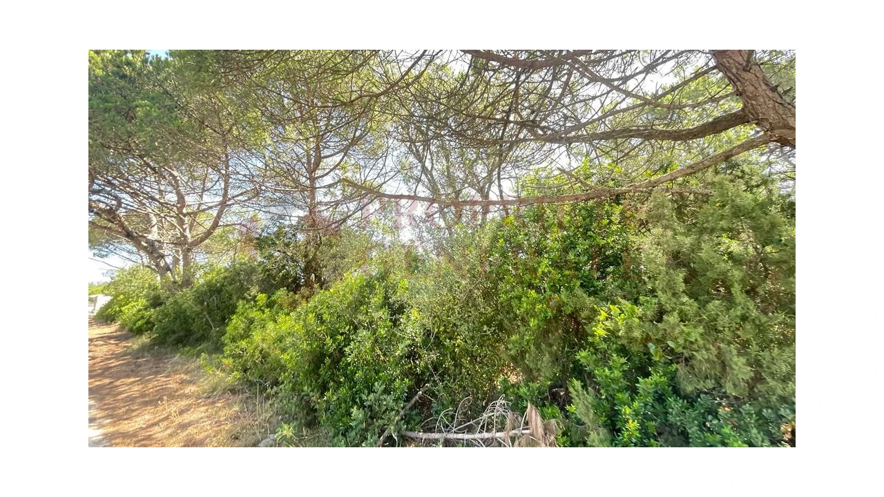 Terreno para Venda em Santa Maria, São Pedro e Sobral da Lagoa Foto 13