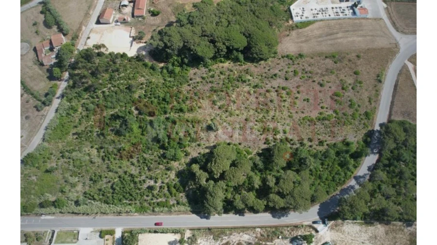 Terreno para Venda em Santa Maria, São Pedro e Sobral da Lagoa Foto 1