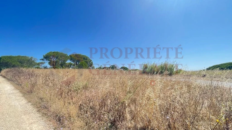 Terreno para Venda em Santa Maria, São Pedro e Sobral da Lagoa Foto 3