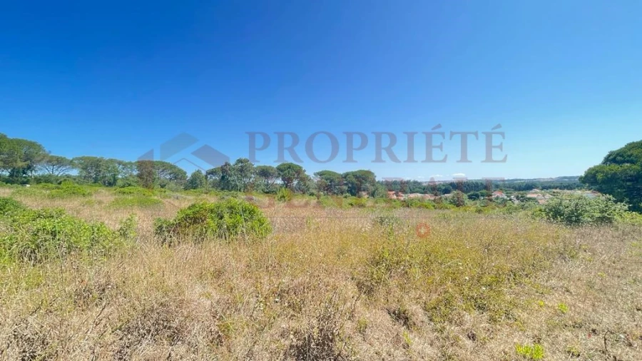 Terreno para Venda em Santa Maria, São Pedro e Sobral da Lagoa Foto 6