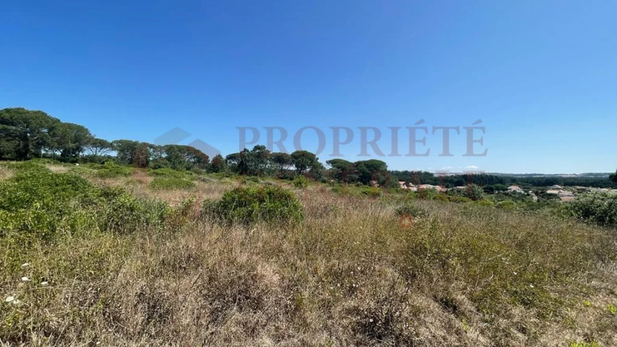 Terreno para Venda em Santa Maria, São Pedro e Sobral da Lagoa Foto 7