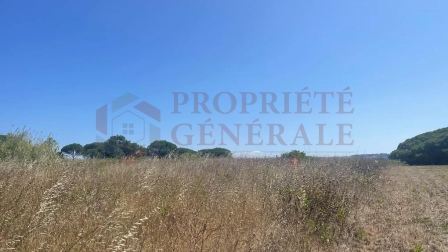 Terreno para Venda em Santa Maria, São Pedro e Sobral da Lagoa Foto 8