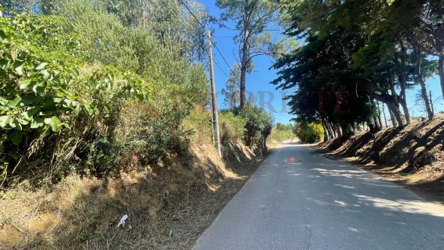 Terreno para Venda em Santa Maria, São Pedro e Sobral da Lagoa Foto 9