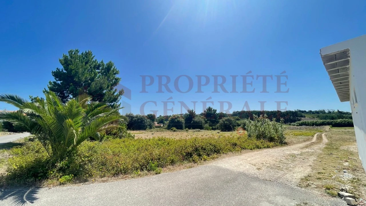 Terreno para Venda em Santa Maria, São Pedro e Sobral da Lagoa Foto 1