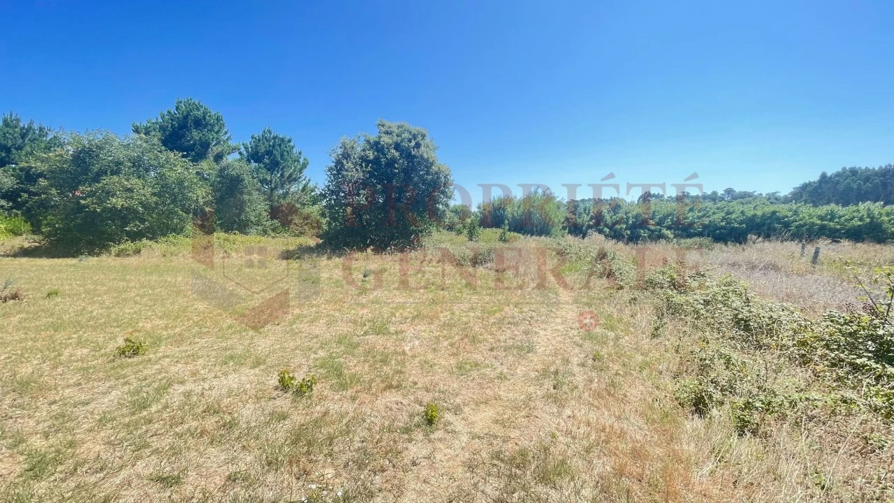 Terreno para Venda em Santa Maria, São Pedro e Sobral da Lagoa Foto 8