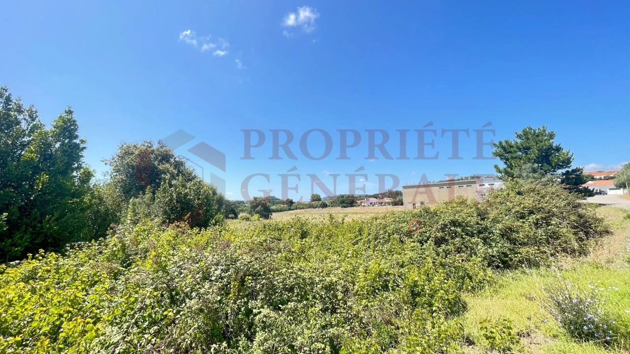 Terreno para Venda em Santa Maria, São Pedro e Sobral da Lagoa Foto 10