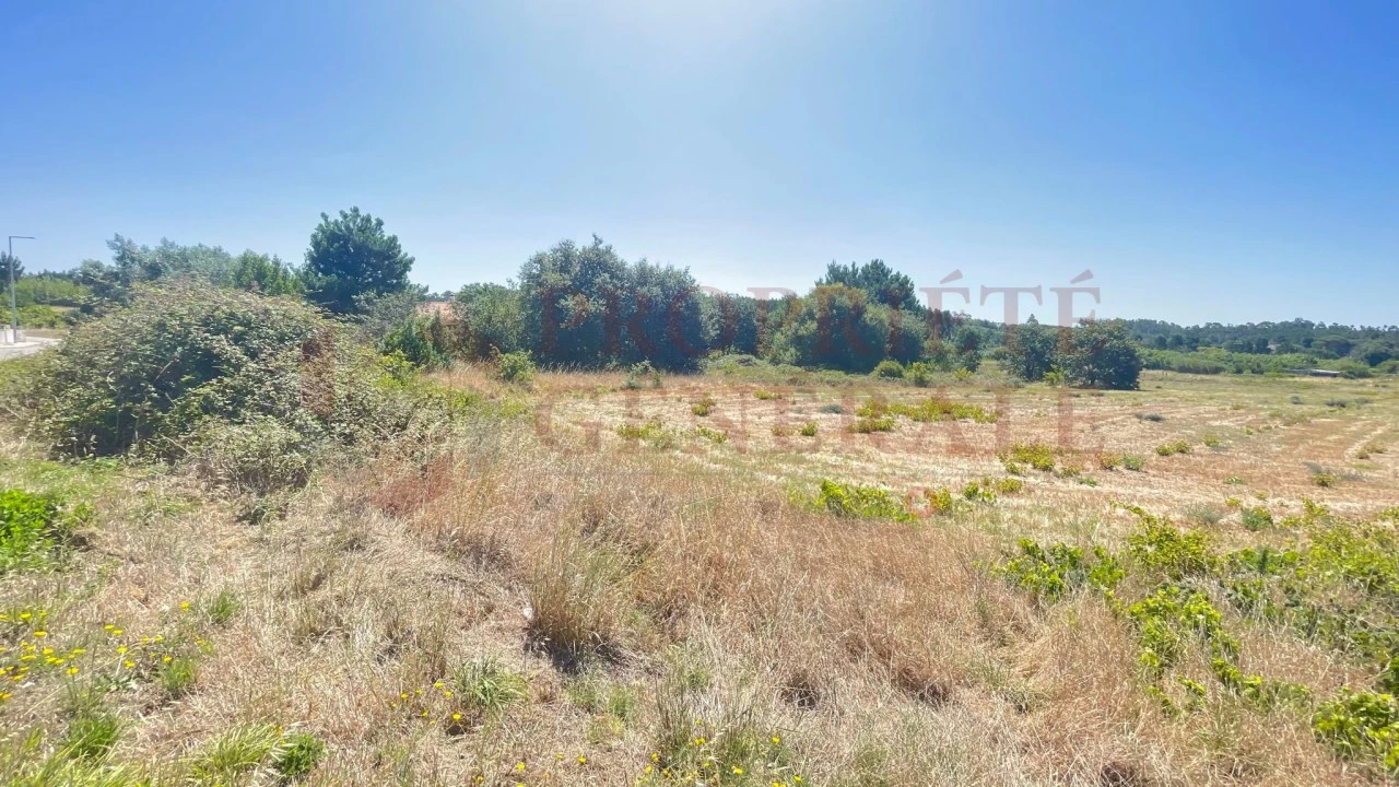 Terreno para Venda em Santa Maria, São Pedro e Sobral da Lagoa Foto 11