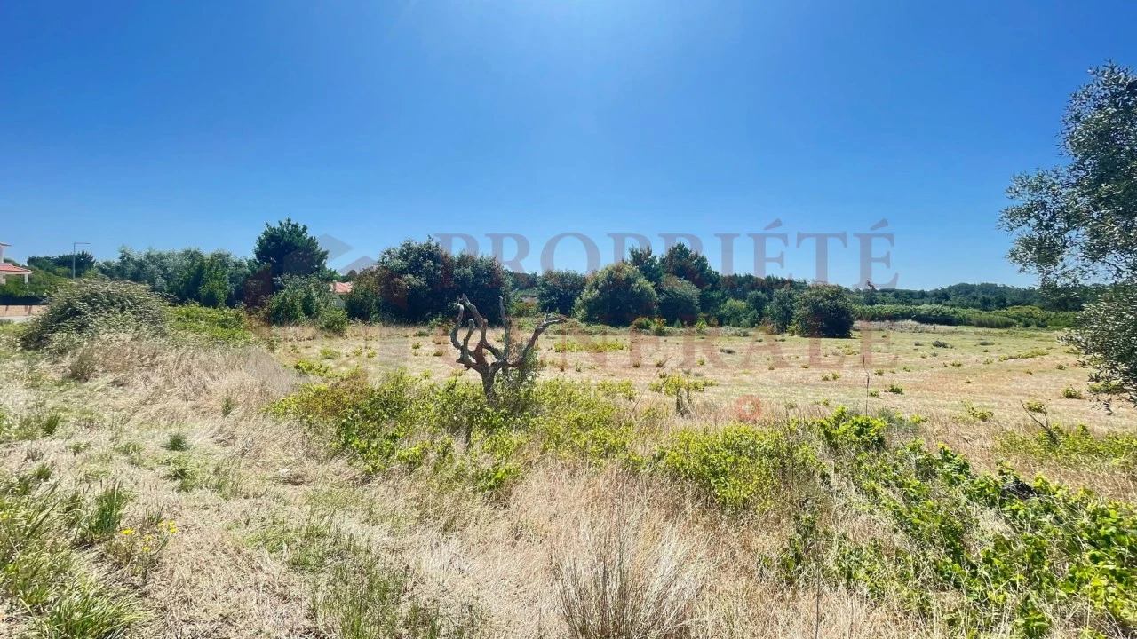 Terreno para Venda em Santa Maria, São Pedro e Sobral da Lagoa Foto 12