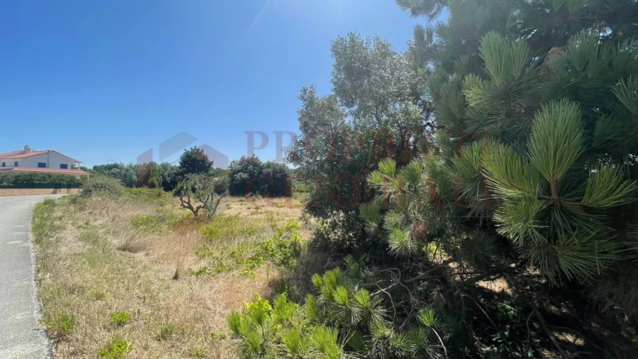 Terreno para Venda em Santa Maria, São Pedro e Sobral da Lagoa Foto 2