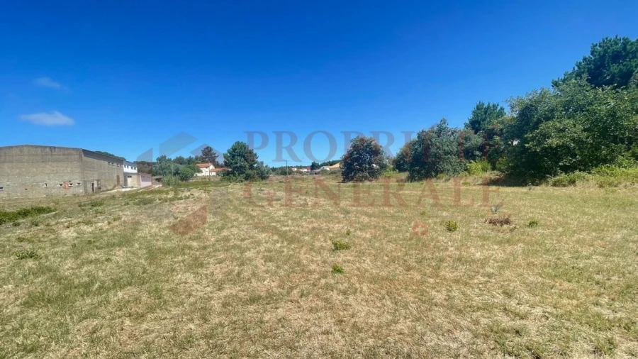 Terreno para Venda em Santa Maria, São Pedro e Sobral da Lagoa Foto 4