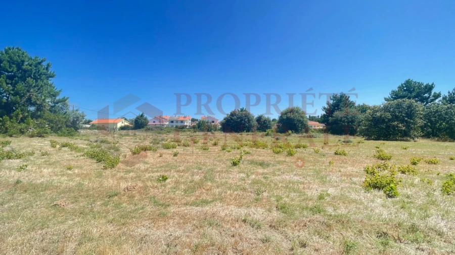 Terreno para Venda em Santa Maria, São Pedro e Sobral da Lagoa Foto 5