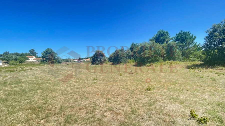 Terreno para Venda em Santa Maria, São Pedro e Sobral da Lagoa Foto 6