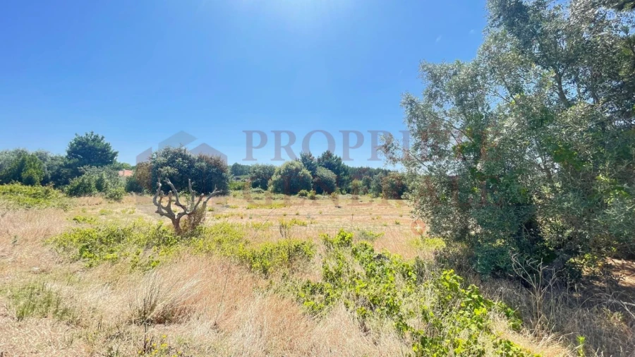 Terreno para Venda em Santa Maria, São Pedro e Sobral da Lagoa Foto 7