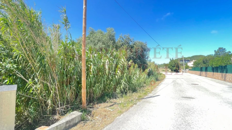 Terreno para Venda em Santa Maria, São Pedro e Sobral da Lagoa Foto 9