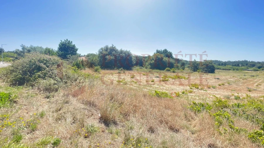 Terreno para Venda em Santa Maria, São Pedro e Sobral da Lagoa Foto 11